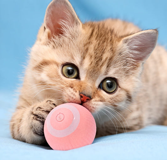 Pelota Interactiva Para Gatos color rosa